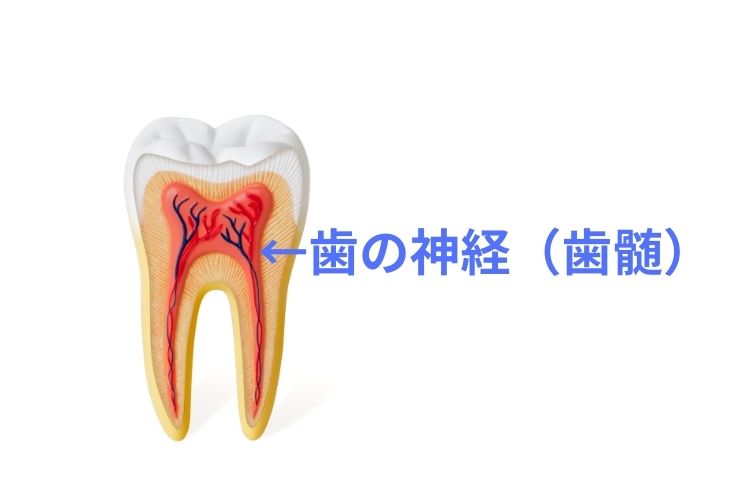 歯がしみる｜高松市の歯の神経治療なら吉本歯科医院