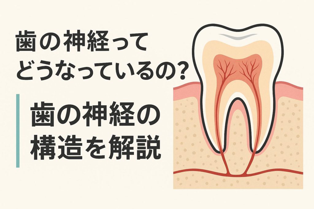 なるべく神経を抜かない虫歯治療｜薬で細菌を減らす内科的治療｜香川・高松市の咬み合わせ専門 吉本歯科医院